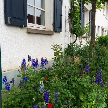 Seelig'S Weinsheim  Екстер'єр фото